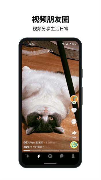盘她直播下载app最新版免费最新版下载
