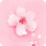 花苞直播软件下载大全