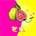 国产高清精品软件丝瓜