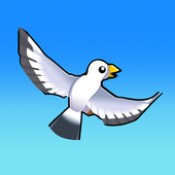 猎鹰生活Falconer Life_logo